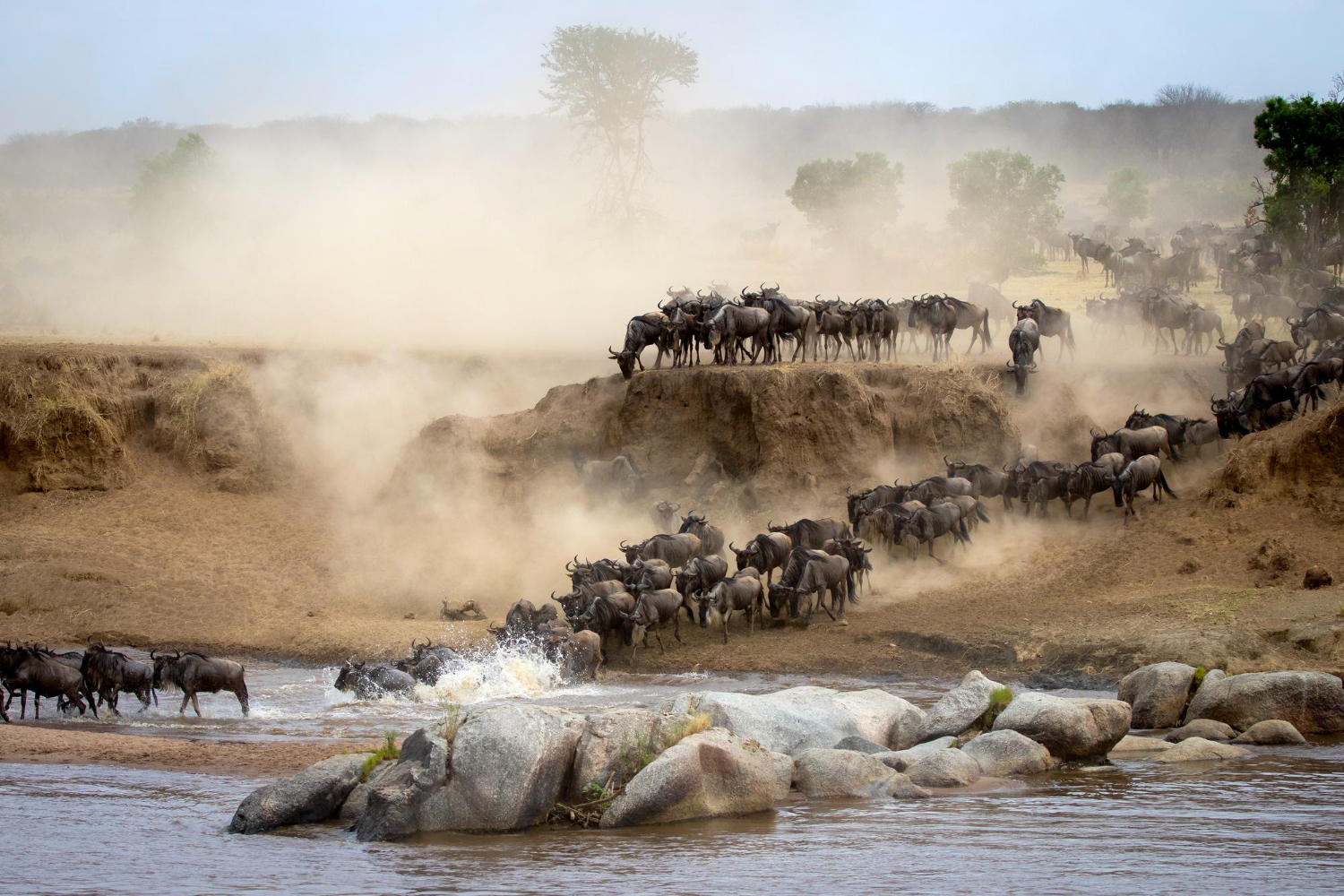 Classic Tanzania Safaris