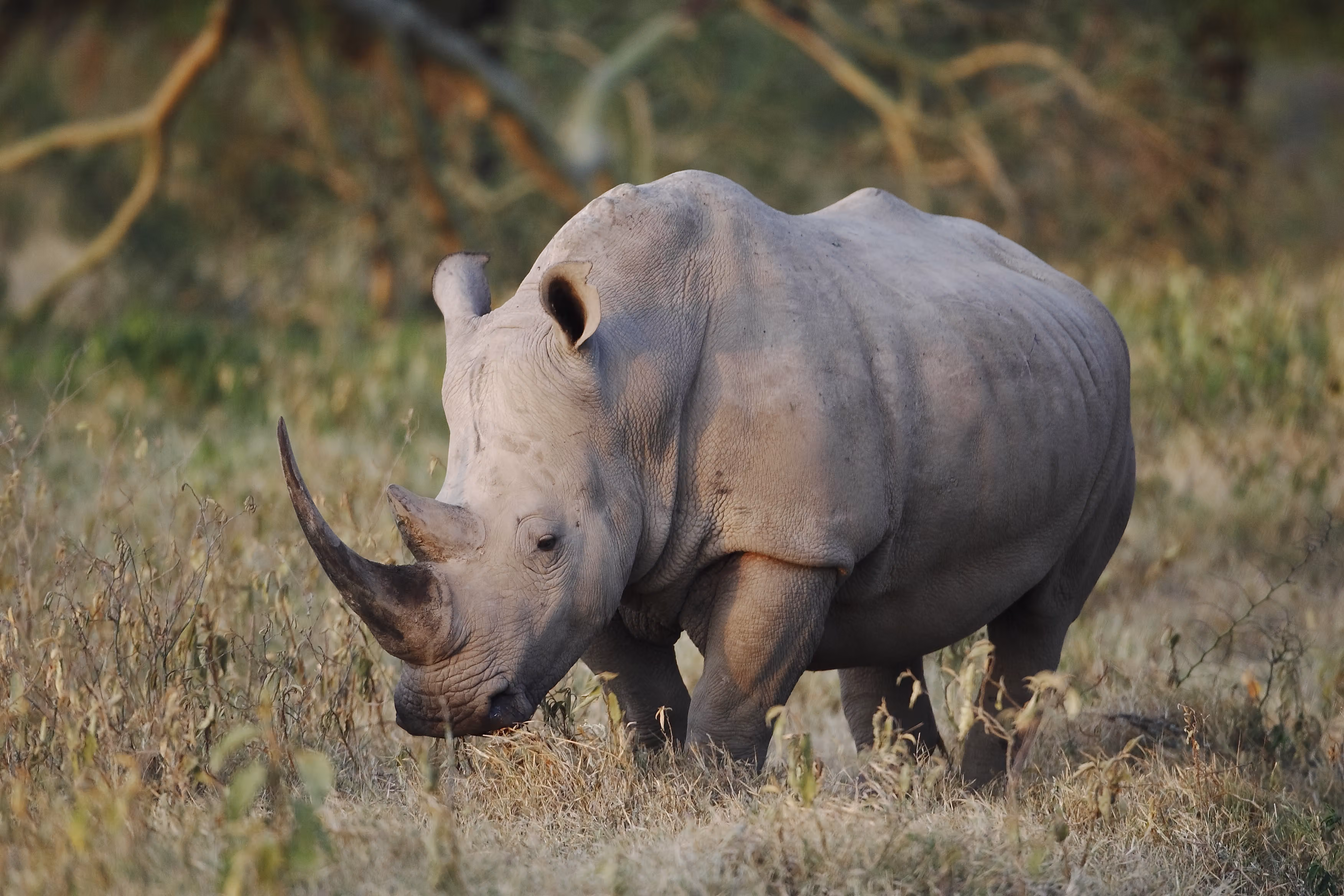 15-Day Safari & Beach Holiday: The Full Tanzania Experience