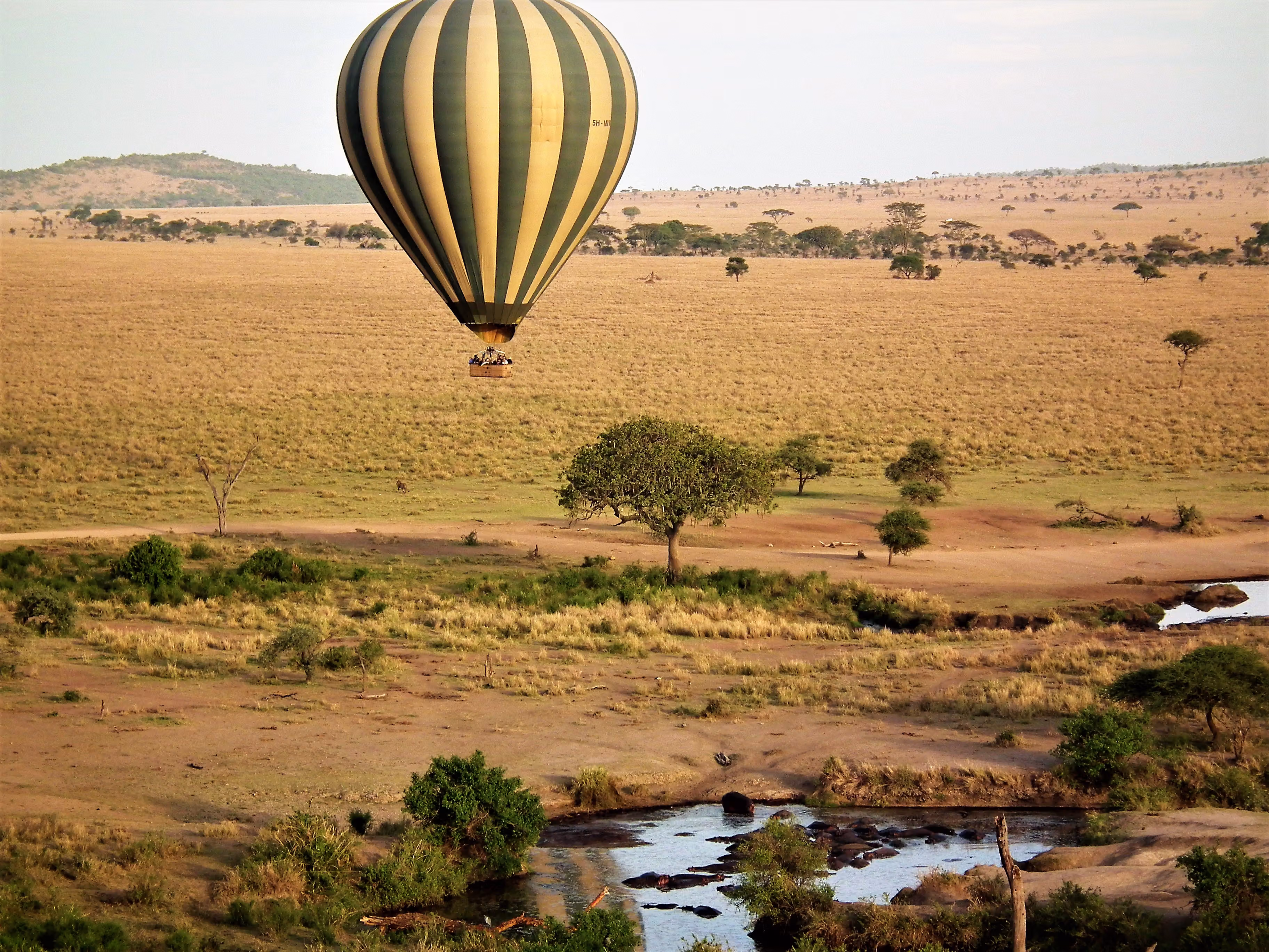 hot air  balloon