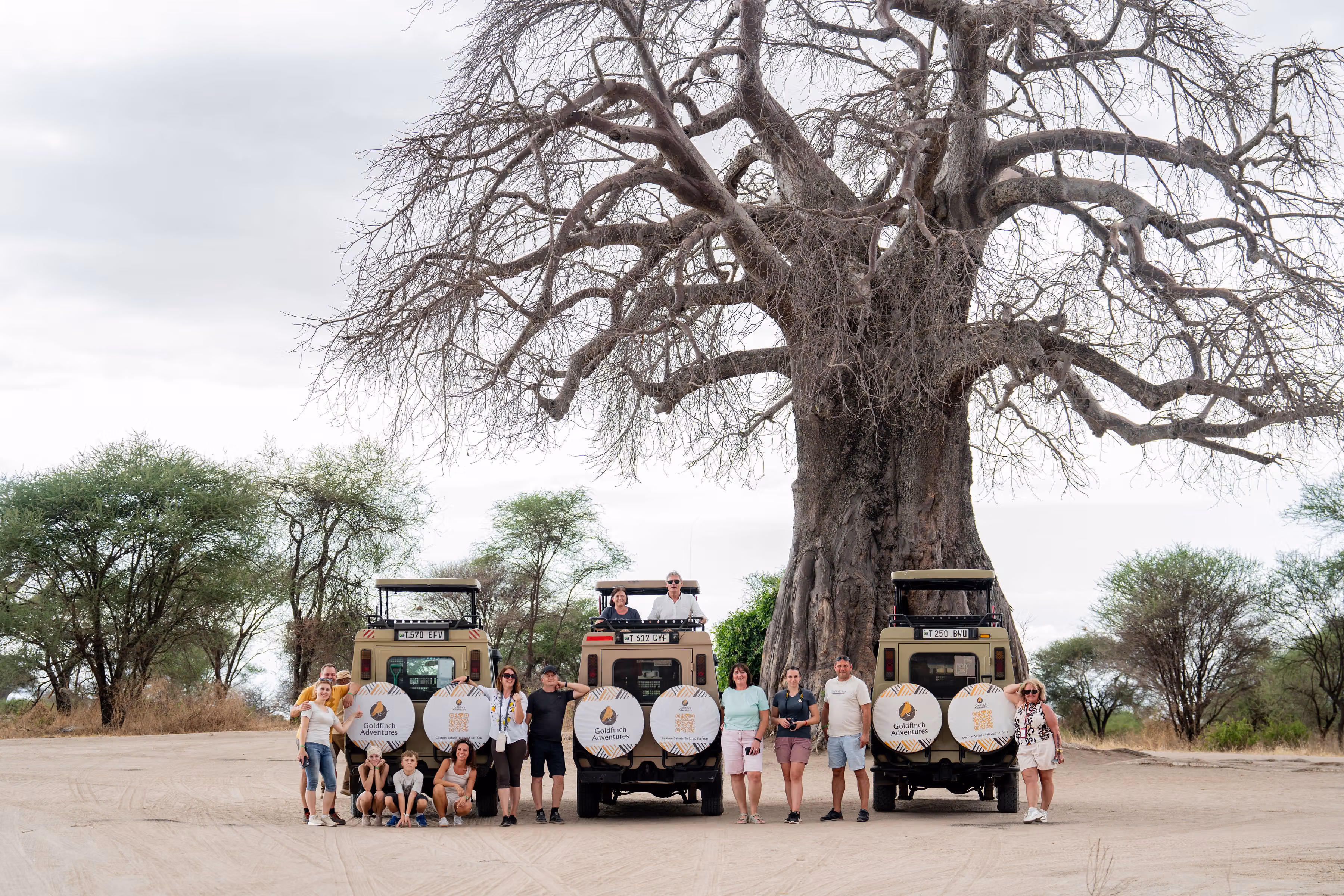 10-Day Safari & Beach Holiday: The Full Tanzania Experience