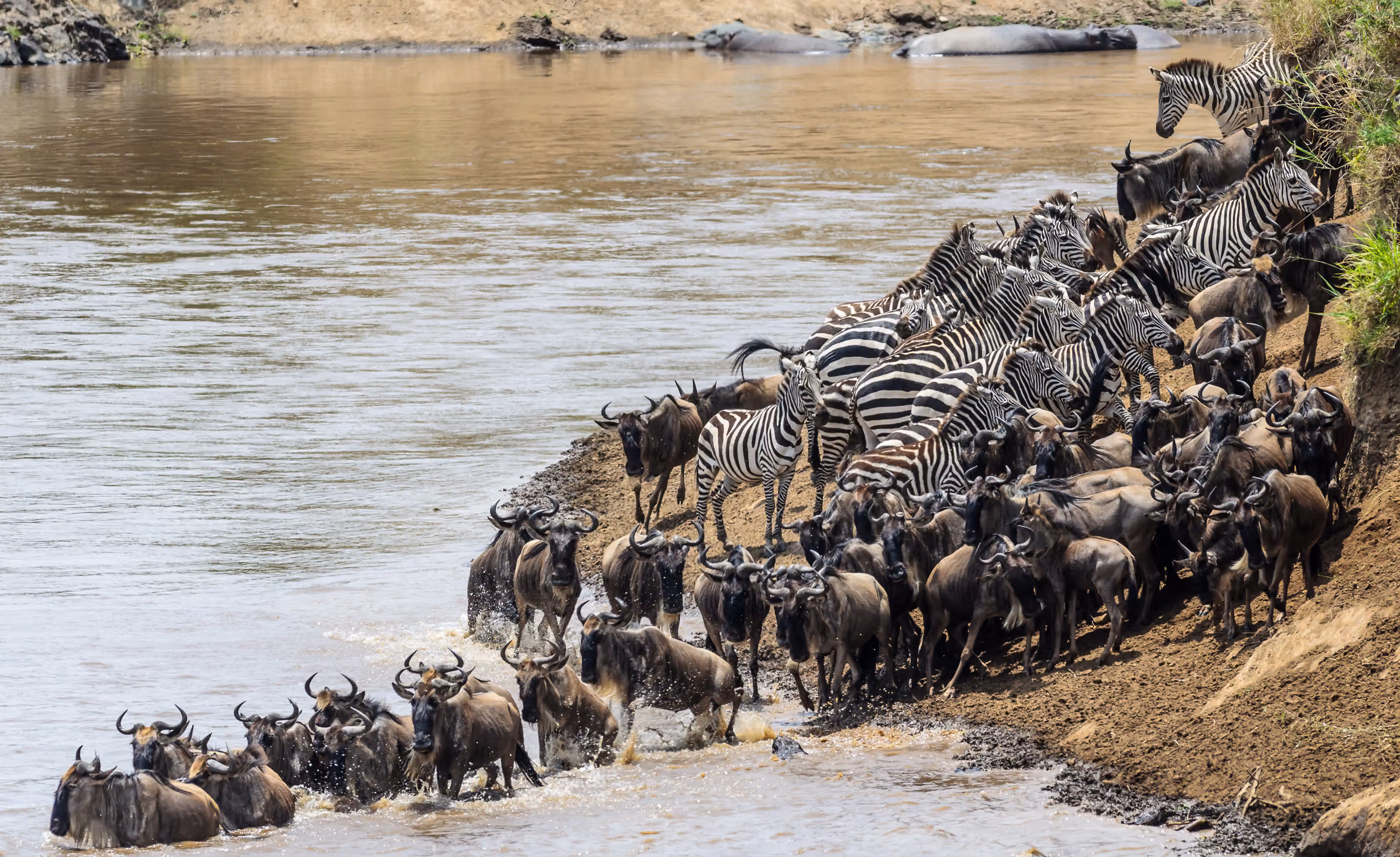 6-Day Serengeti Great Migration Safari from Zanzibar
