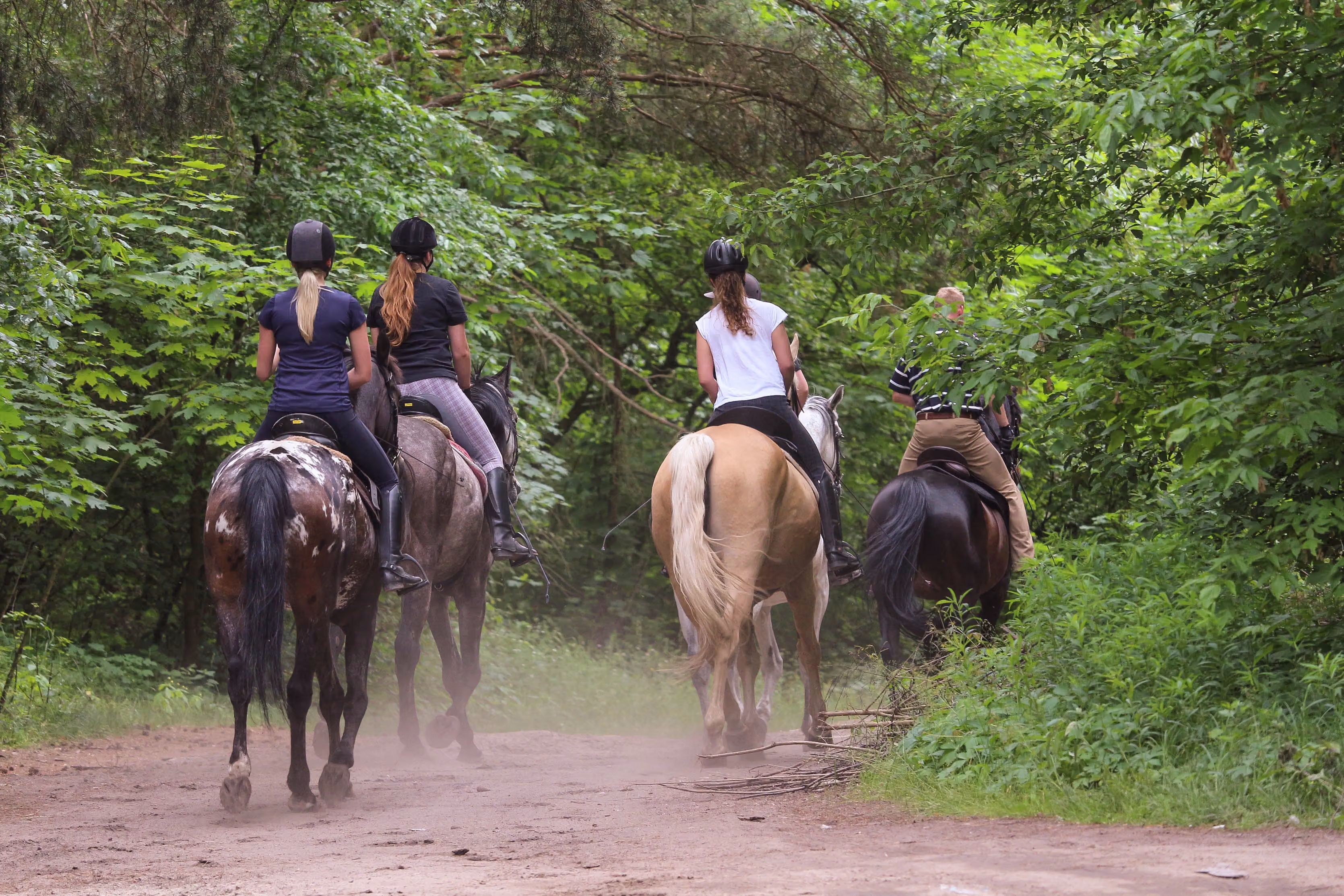 horse ride safari