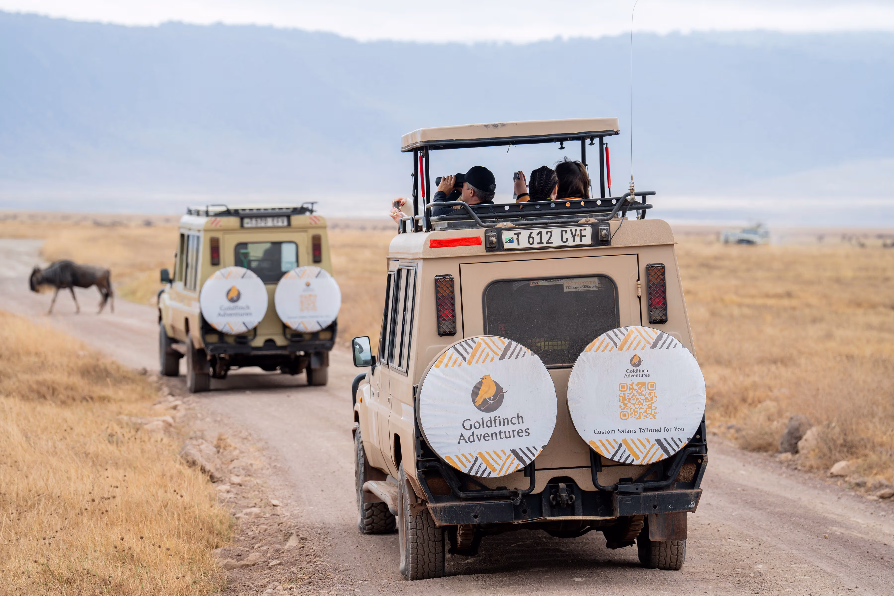 2-Day Tarangire & Ngorongoro Midrange Safari from Zanzibar